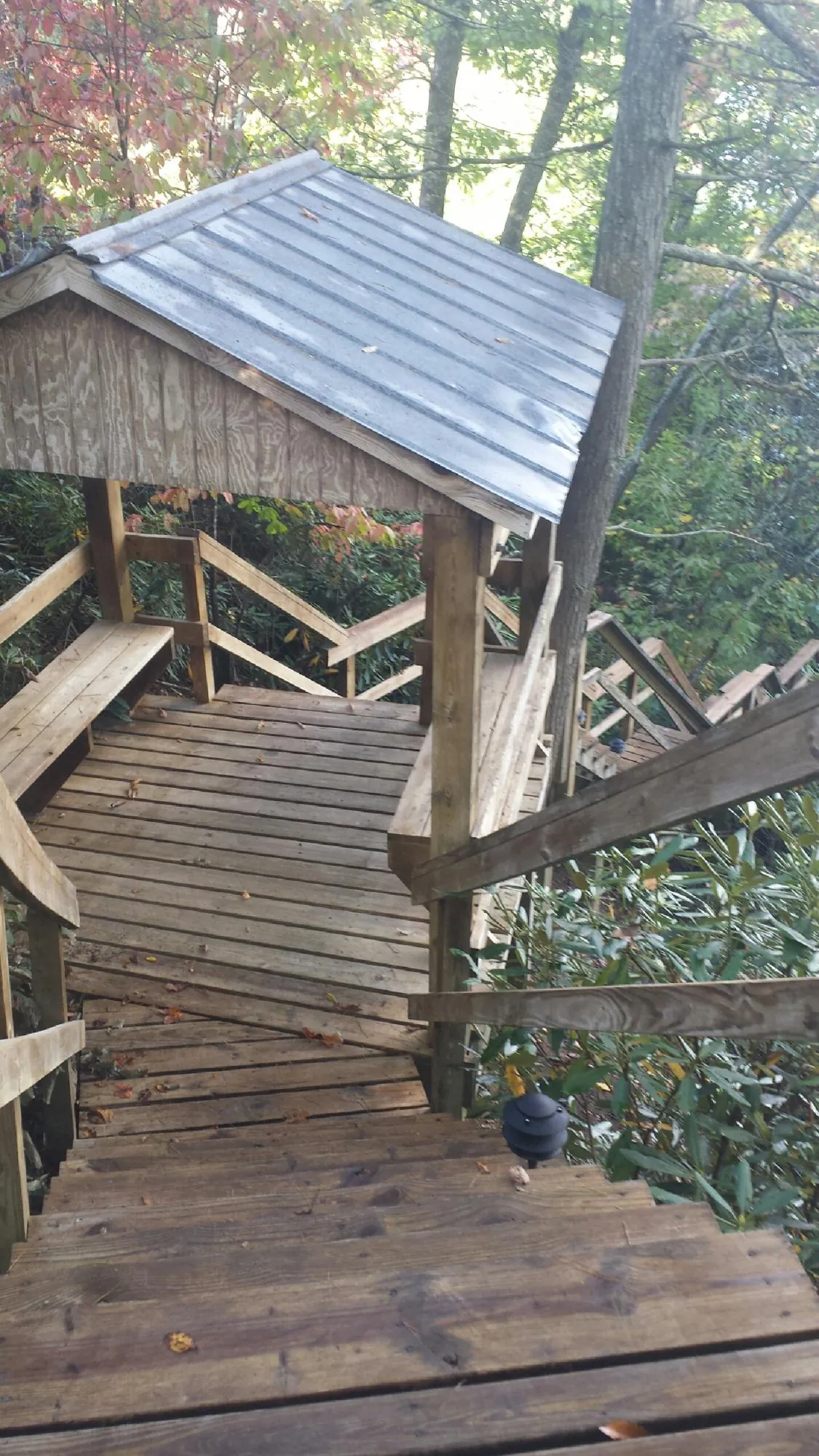 Metal roofed shelter over wooden steps on a wooded walkway — Skylight Repair & Installation work by our crew in Bunnell